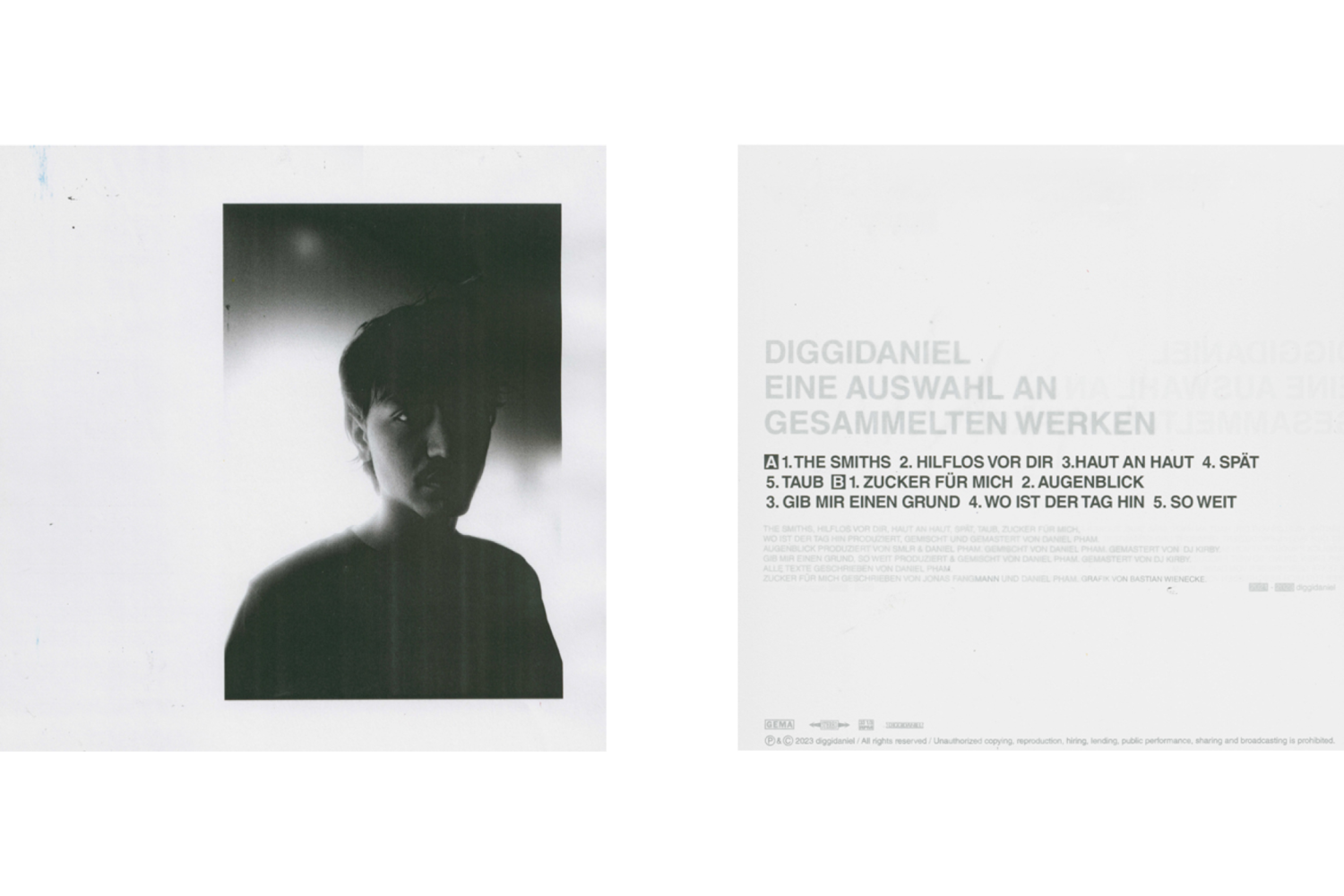  Vinyl, "Eine Auswahl an gesammelten Werken" 